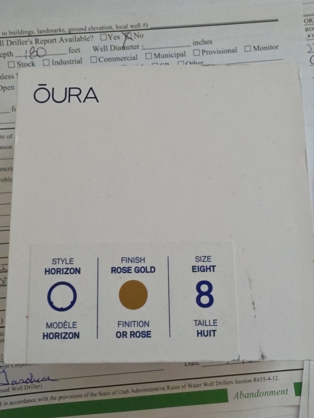 Oura Horizon Ring in Rose Gold